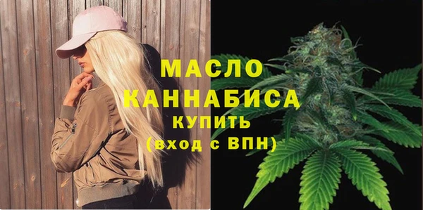 ECSTASY Богородицк